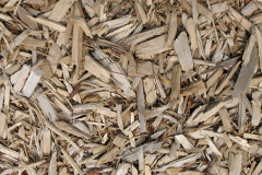 biomass boilers Flappit Spring